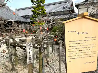 瑞光寺(三重県)