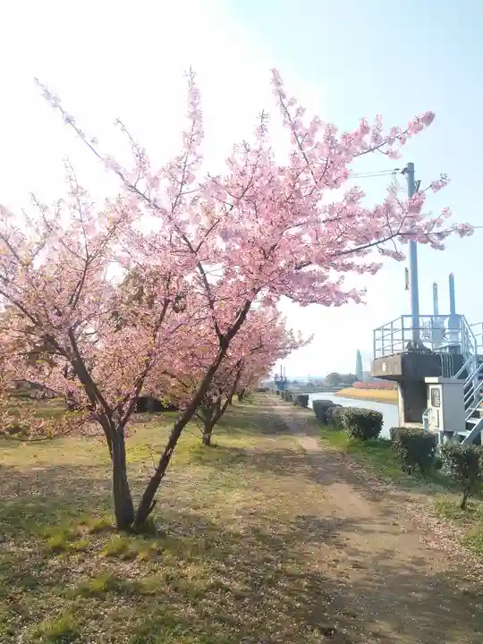 大己貴神社の自然