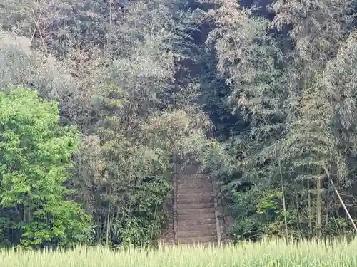 熊野神社の自然