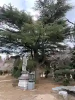 玄徳寺(千葉県)