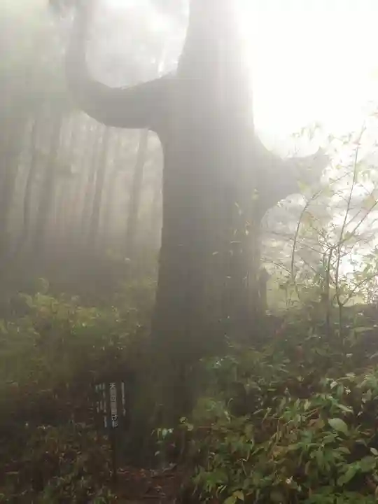 武蔵御嶽神社の自然