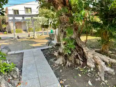 八坂大神(神奈川県)