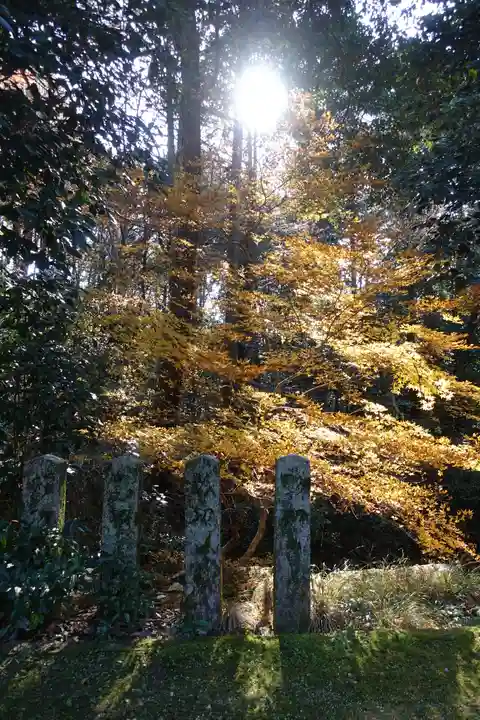 鷺森神社の自然