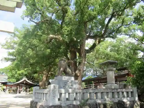 宇美八幡宮の狛犬