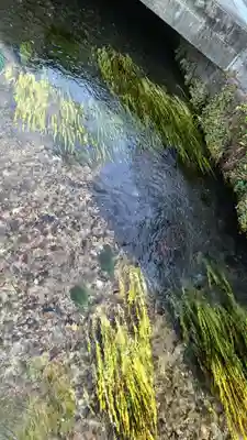 白瀧観音堂の自然