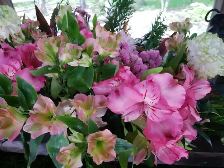 彌彦神社 (伊夜日子神社)の手水舎