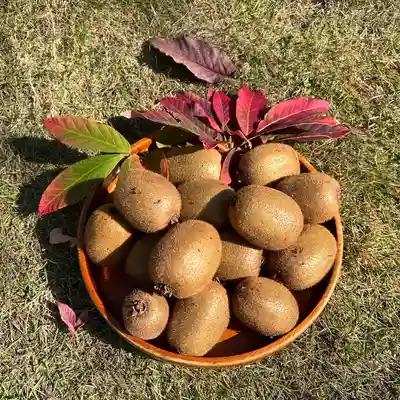 秩父札所十三番 慈眼寺(埼玉県)