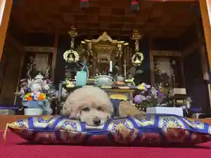 聖光寺のその他建物 2024年11月01日(金)〜(2024年10月22日(火) 03時16分54秒投稿)