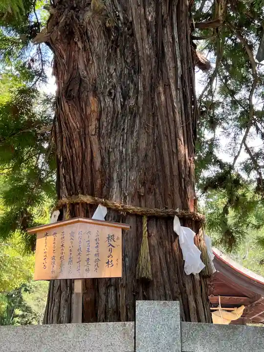 諏訪大社下社秋宮(長野県)