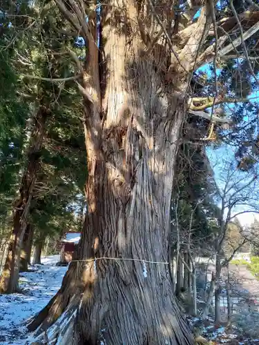 秋葉神社(岩手県)