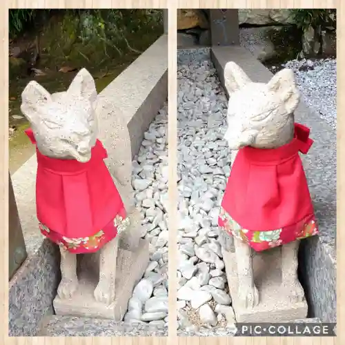 阿智神社の狛犬