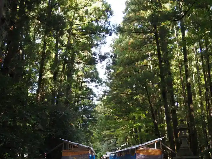 彌彦神社の自然