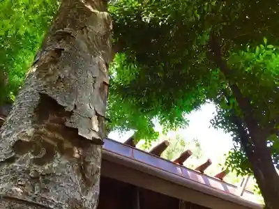 高円寺氷川神社のその他建物