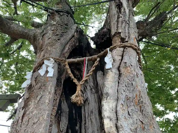 三ツ木神社(埼玉県)