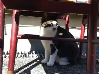 妙行寺(福井県)