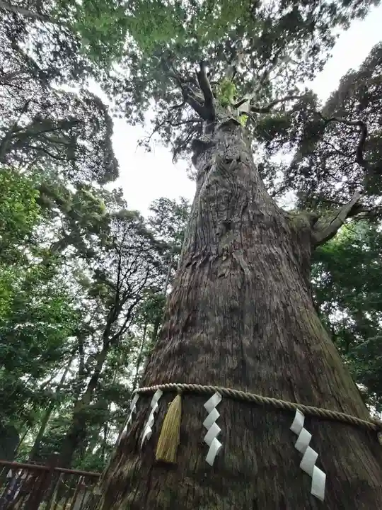 麻賀多神社(千葉県)