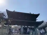 金刀比羅宮の本殿・本堂