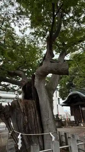 阿邪訶根神社(福島県)
