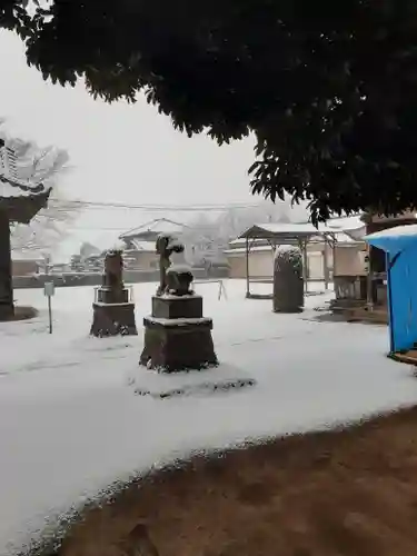 伏木香取神社の狛犬