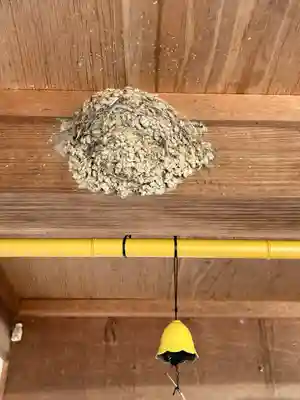 子安地蔵寺の動物