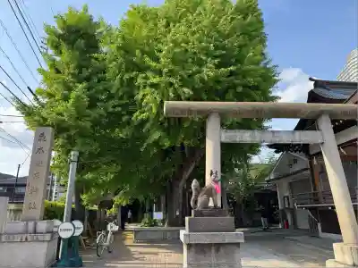 飛木稲荷神社(東京都)