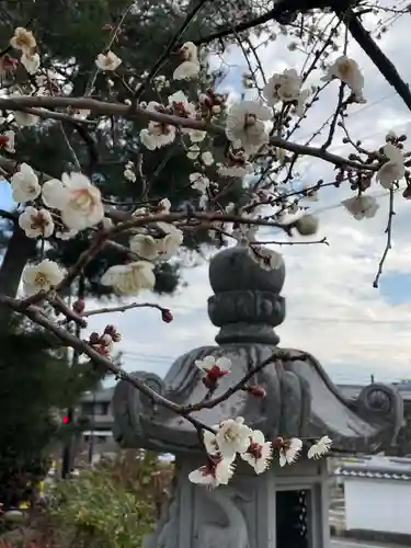 六道院（七観音）(京都府)