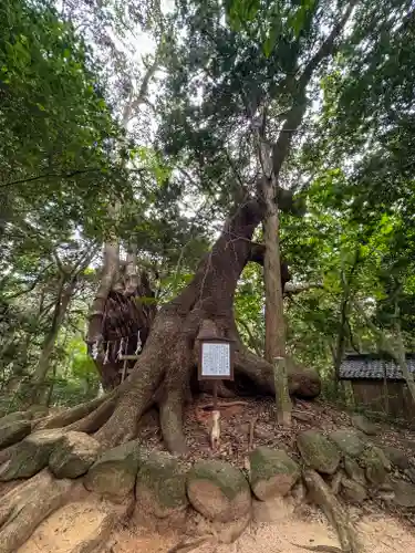 住吉神社(山口県)