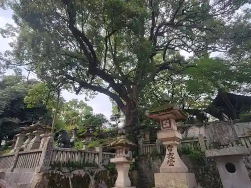 金刀比羅宮(香川県)