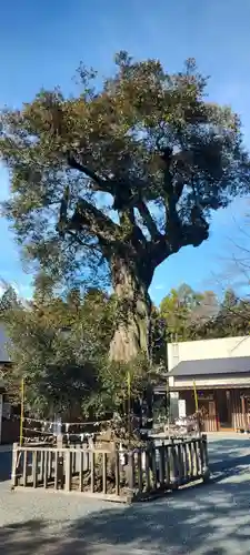 井伊谷宮(静岡県)