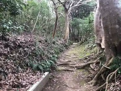 天満神社の自然