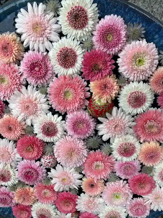 行田八幡神社の手水舎