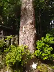 八大神社(京都府)