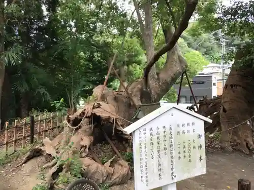 草薙神社のその他建物