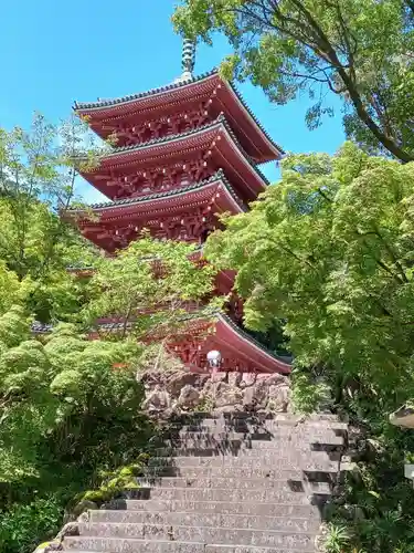 竹林寺の建物その他