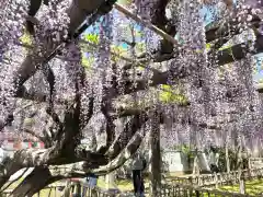 行興寺(静岡県)