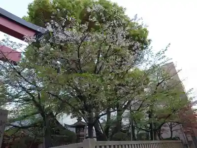 御霊神社(大阪府)