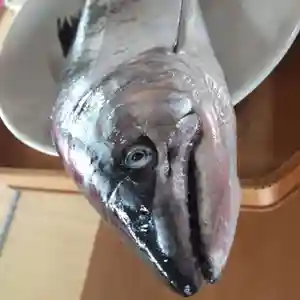 七重浜海津見神社(北海道)(2024年03月12日(火) 09時32分34秒投稿)