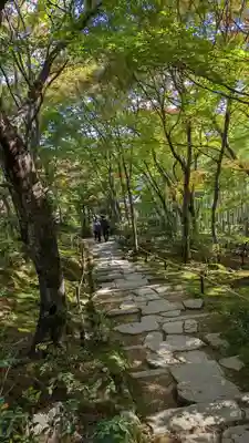 常寂光寺(京都府)