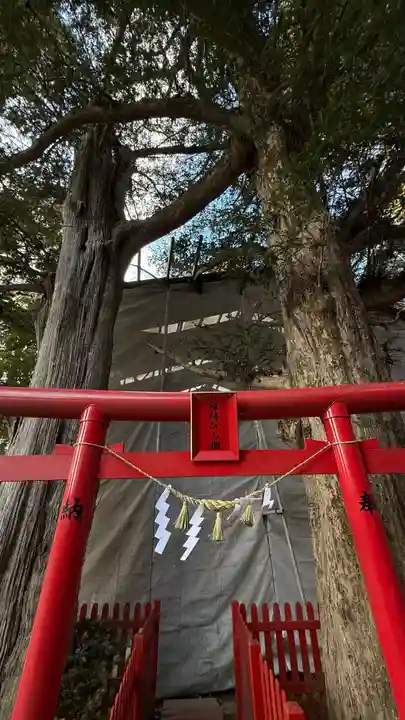 涼ケ岡八幡神社(福島県)