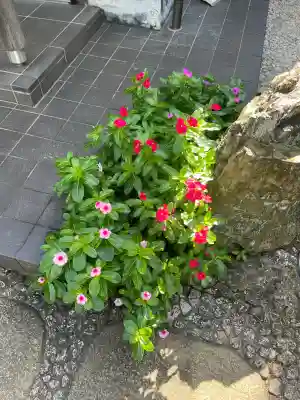 霊泉院(東京都)