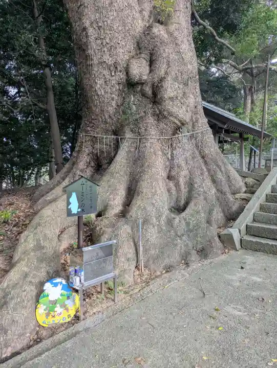 五所八幡宮の{uncategorized: "未分類", other: "その他", undefined: "問題あり", building: "その他建物", grave: "お墓", sacred_gate: "鳥居", guardian: "狛犬", statue: "像", buddha: "仏像", history: "歴史", nature: "自然", garden: "庭園", animal: "動物", pagoda: "塔", temizu: "手水舎", mountain_gate: "山門・神門", sanctuary: "本殿・本堂", subordinate: "末社・摂社", art: "芸術", scenery: "景色", jizo: "地蔵", ema: "絵馬", goshuin: "御朱印", omikuji: "おみくじ", items: "授与品その他", amulet: "お守り", goshuincho: "御朱印帳", eats: "食事", festival: "お祭り", votive_dance: "神楽", shichigosan: "七五三参", wedding: "結婚式", experience: "体験その他", initially: "初詣", around: "周辺", anti_infection: "感染症対策"}