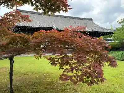 勧修寺(京都府)