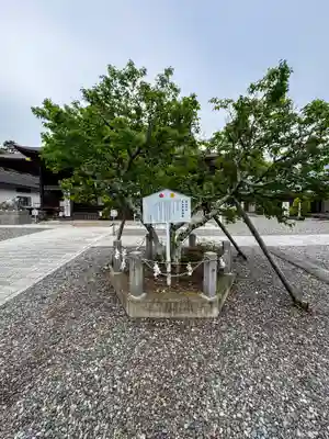 矢奈比賣神社（見付天神）(静岡県)