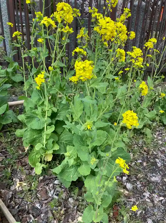 平野神社(京都府)