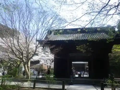 妙本寺の山門