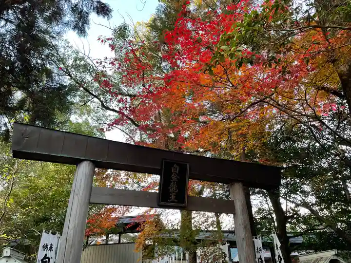 若宮神明社の鳥居