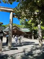 猿田彦神社の鳥居