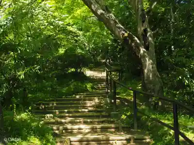 岡寺(龍蓋寺)(奈良県)
