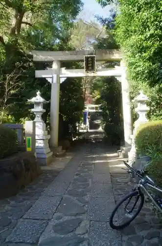 東新町氷川神社の鳥居