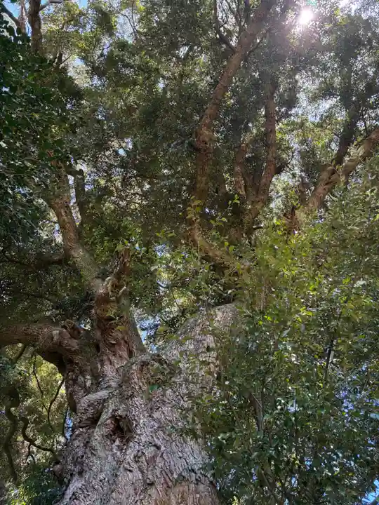 高房神社(茨城県)